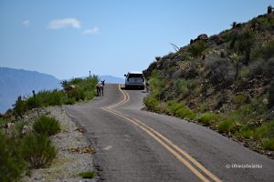 Takie obrazki to codzienność, Oatman Highway