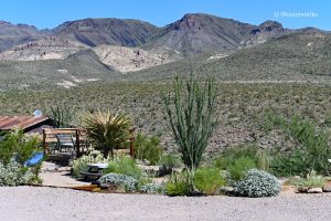 Wokół Cool Springs, Oatman Highway