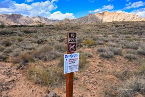 Szlaki, Czy to nie wygląda jak zastygły budyń? - Snow Canyon State Park, Utah