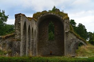 W ruinach ... - Alvastra, szwedzki klasztor cystersów