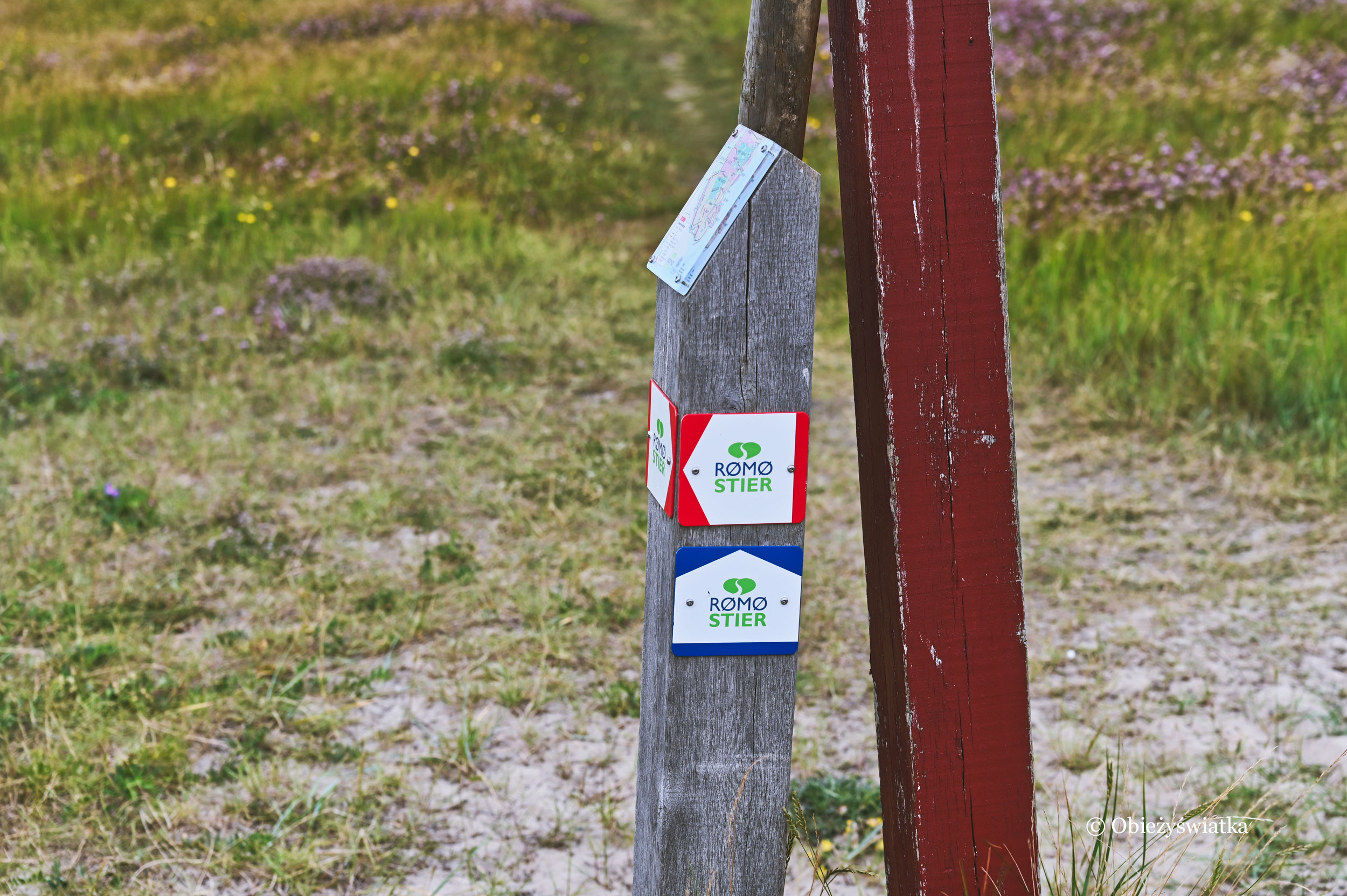 Rømø Stier - oznakowanie szlaku: czerwony i niebieski, który jest nieco dłuższy i prowadzi przez tereny zalewowe - przejście jest możliwe tylko w czasie odpływu