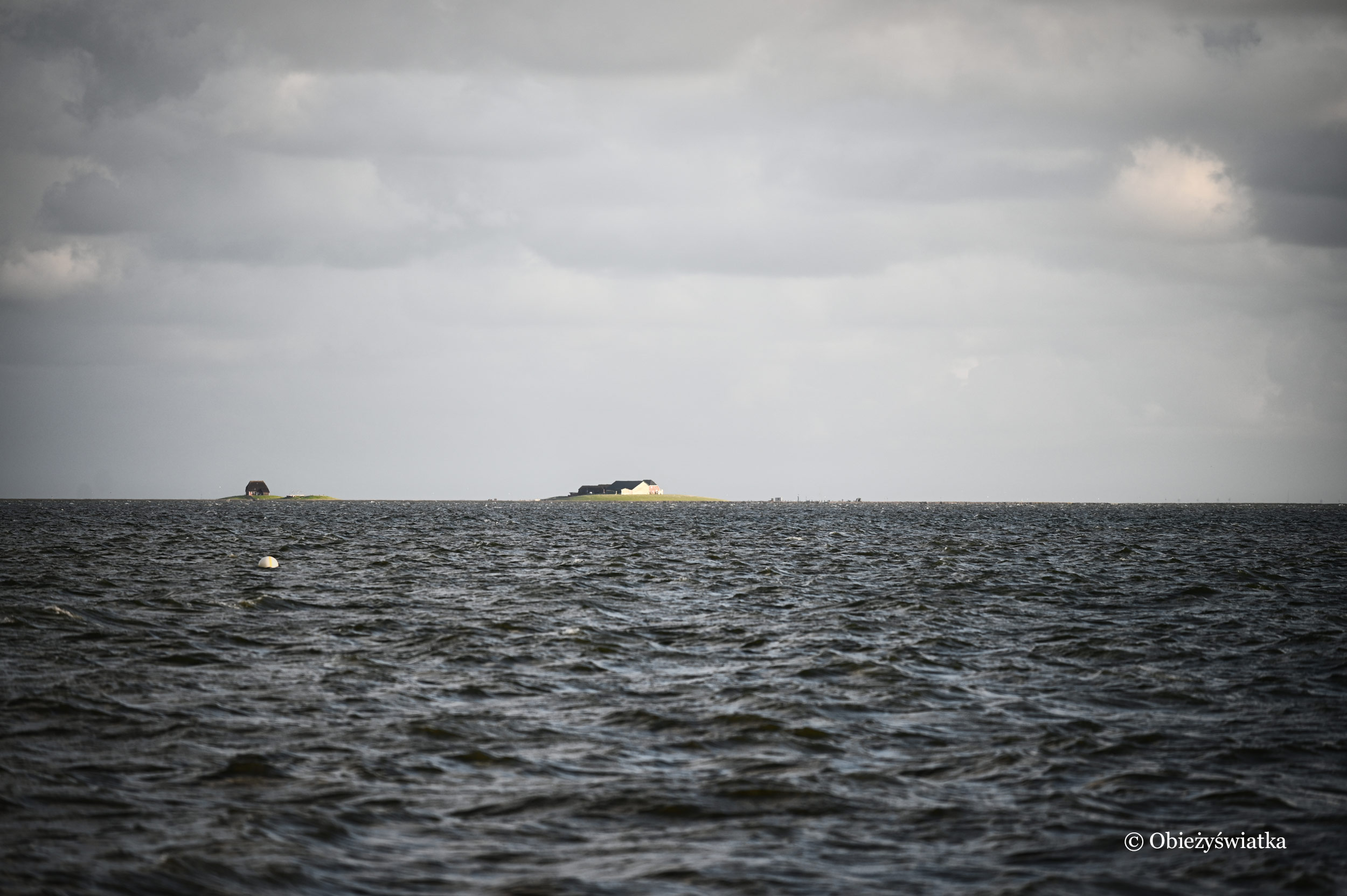 Dwa Halligen w Morzu Północnym, widok z wybrzeża