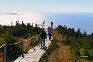 Skyline Trail, punkt widokowy - widok na Zatokę Świętego Wawrzyńca, Kanada