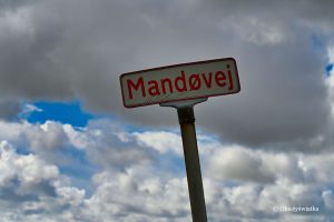 Mandø