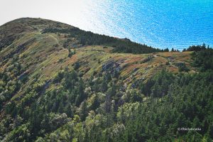Skyline Trail, punkt widokowy na Ocean i Zatokę św. Wawrzyńca, Kanada