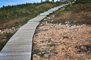 Skyline Trail, Cape Breton, Kanada