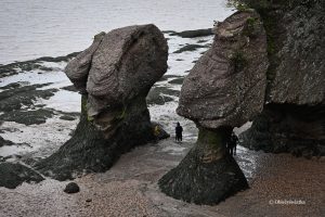 W czasie odpływu - Hopewell Rocks w Nowym Brunszwiku, Kanada
