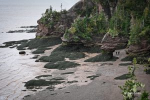 Hopewell Rocks w Nowym Brunszwiku, Kanada