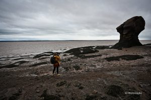 Hopewell Rocks w Nowym Brunszwiku, Kanada