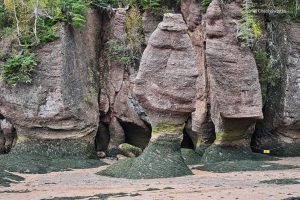 Flowerpots ;) - Hopewell Rocks, Nowy Brunszwik, Kanada