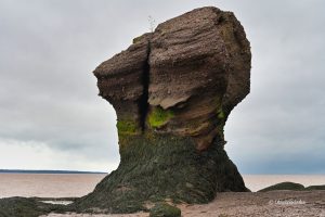 Olbrzymie kolumny wystająca z Atlantyki przy odpływie - Hopewell Rocks w Nowym Brunszwiku, Kanada