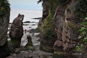 W czasie odpływu - Hopewell Rocks w Nowym Brunszwiku, Kanada