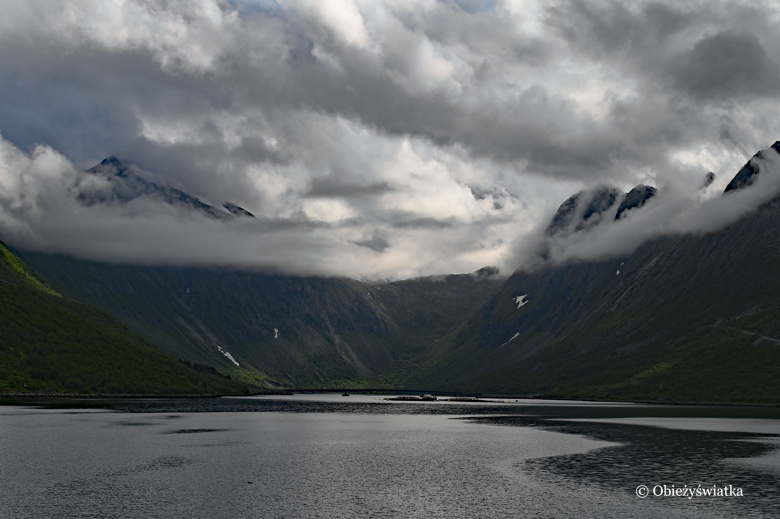 Otulona mgłą Senja, Norwegia