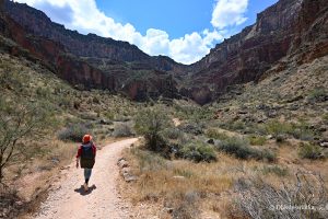 Grand Canyon, Arizona