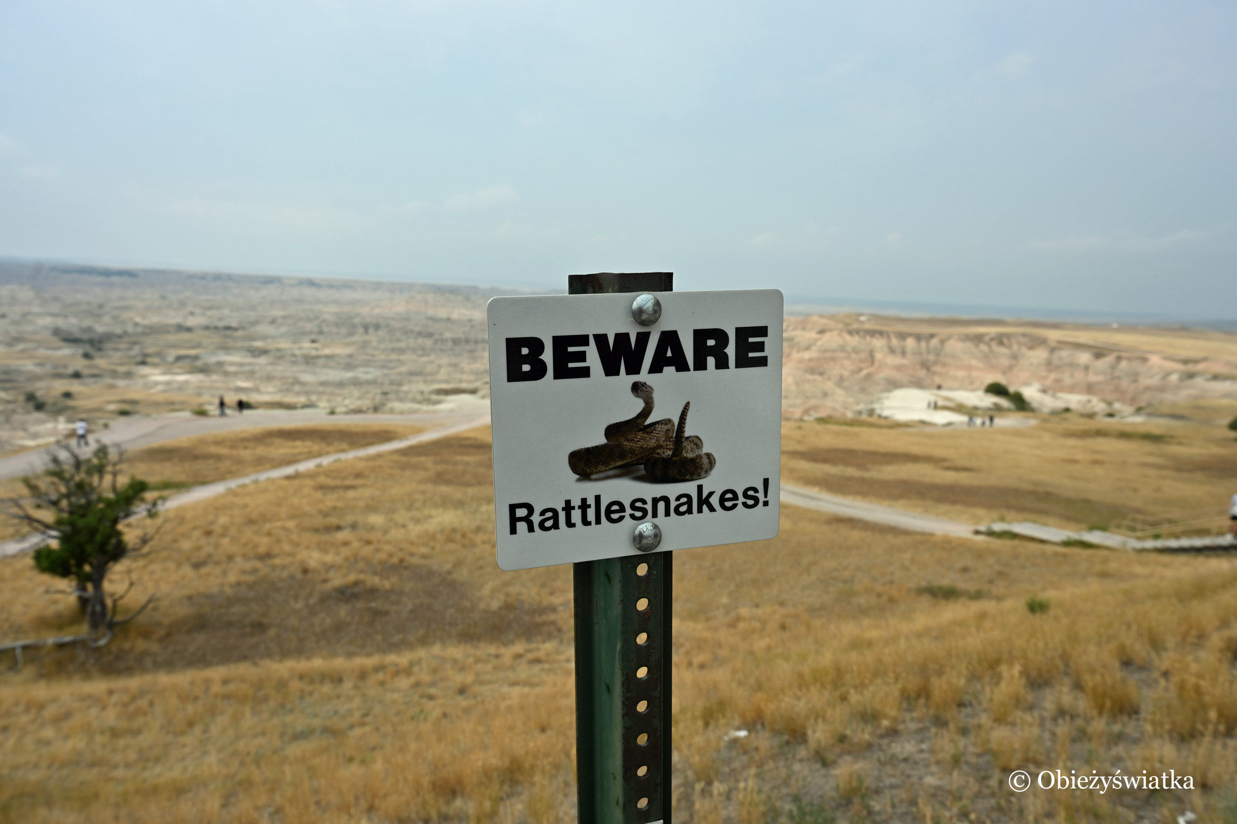 Są i węże... - Badlands, South Dakota, USA