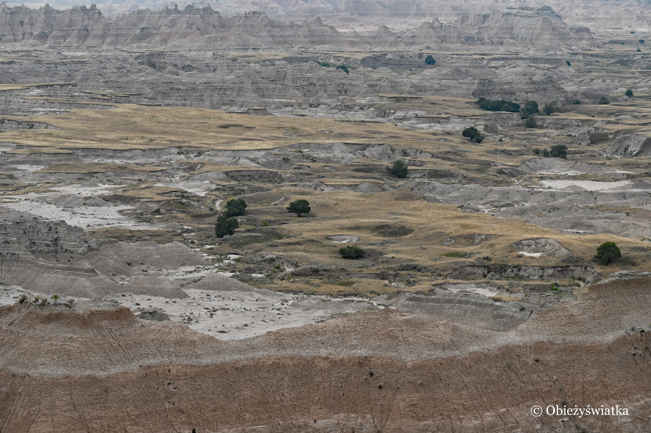 Surowy krajobraz Badlands, South Dakota, USA