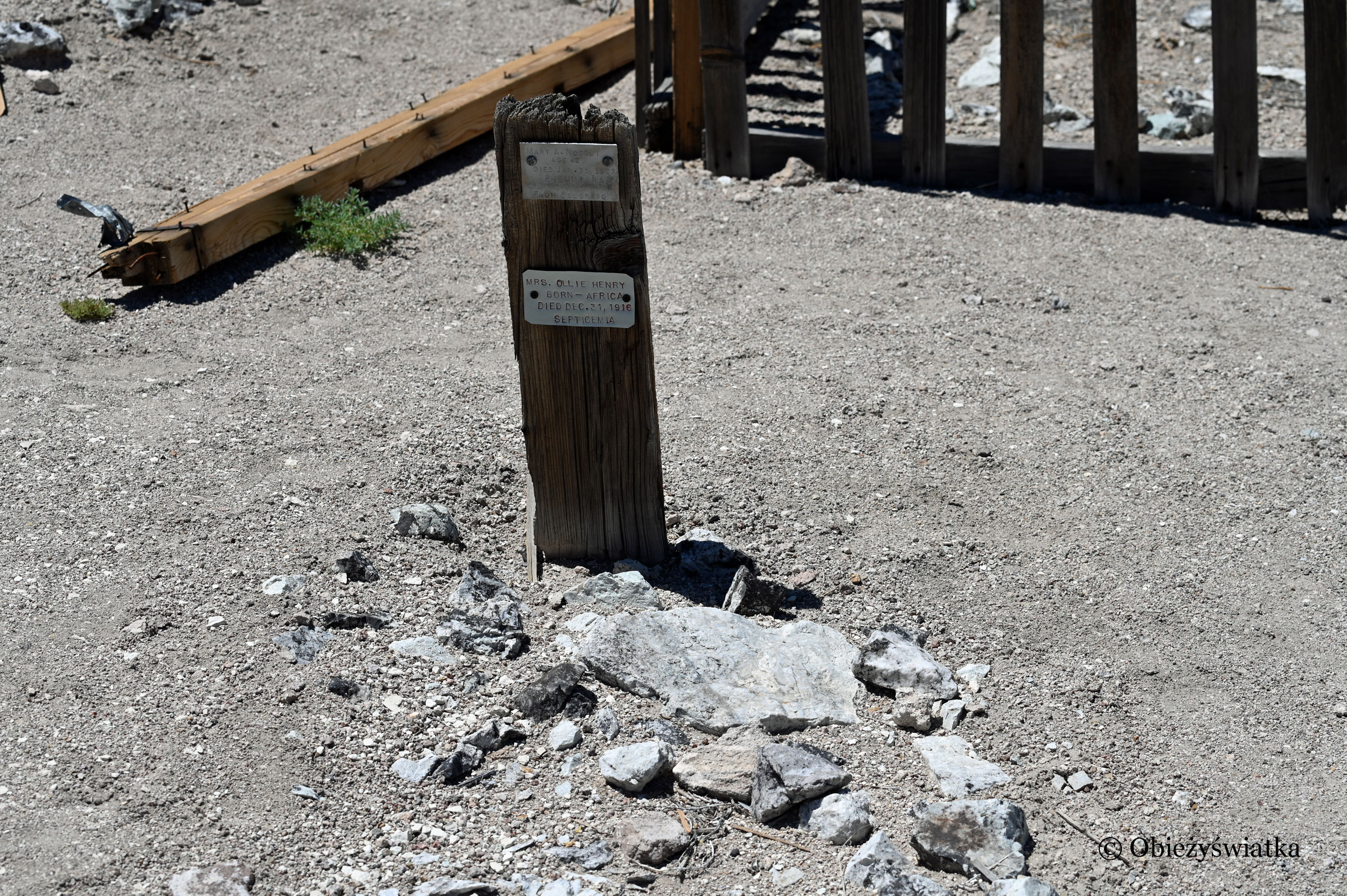 Tonopah Cemetery, Nevada - Mrs. Ollie Henry, przyczyna śmierci: zakażenie krwi